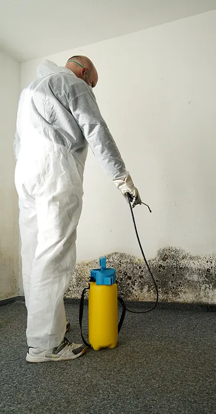 DHC Water Damage