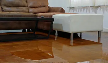 Water & Flood Damage Cleanup